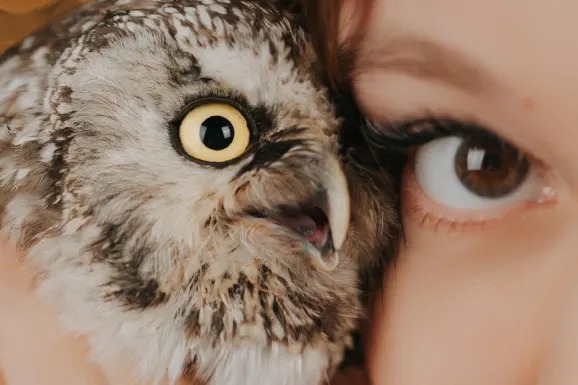 カジノ ラッキー タイガー サポート